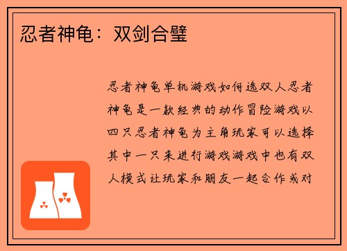 忍者神龟：双剑合璧